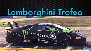 Lamborghini Trofeo World Final Sebring 2015