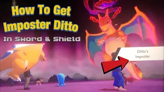 HOW TO GET Ditto With Hidden Ability Imposter In Pokemon Sword And Shield