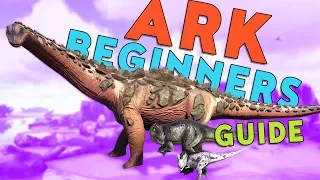 Ultimate Ark PvP Beginners Guide - Updated Ark Survival Evolved Tutorial