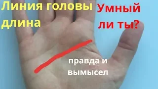 Линия головы: длина. Умный ли ты? Правда и вымысел//Хиромантия