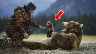 The Baby Bears Crying For Help That Someone Could Save Their Dying Mama, Then A Man Appeared...