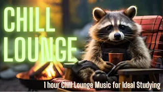 1 hour Chill Lounge Music for Ideal Studying