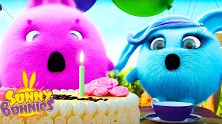 SUNNY BUNNIES - Cake and Balloons | Season 1 | Cartoons for Kids