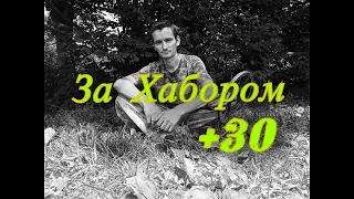 Полевой коп  Когда идут находки жара не страшна