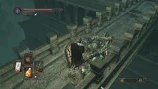 This is why I love Dark Souls 2