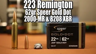 62gr Speer Gold Dot in 223 Remington