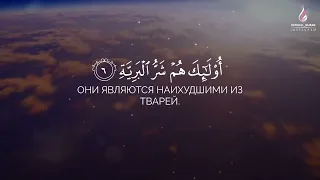 Сура | Аль Баййина / Чтец | Омар Хишам #quran #коран #official @official_quran4094