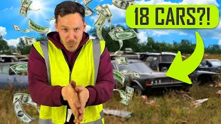 Emptying a Yard Full of Cheap Scrap Cars!