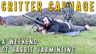 Aussie Rabbit Hunting With Centrefire Rifles | Tikka 243, Howa 223, CZ455 22LR