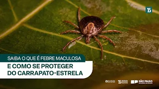 Tire suas dúvidas sobre a febre maculosa e saiba como se proteger.