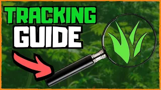 Jungle Tracking in 3 SIMPLE Steps [Guide] | League Of Legends
