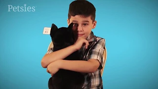 4 Kids Surprised With Custom Stuffed Animals of Their Past Pets | Petsies©