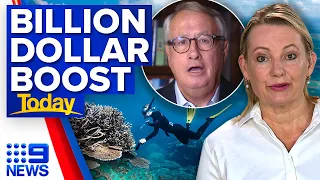 Government pledges $1 billion to save Great Barrier Reef. Is it enough? | 9 News Australia
