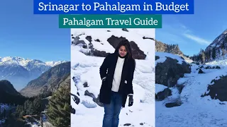 Srinagar to Pahalgam in Rs 220 | Pahalgam Travel Guide | Places to Explore in Pahalgam| Heena Bhatia