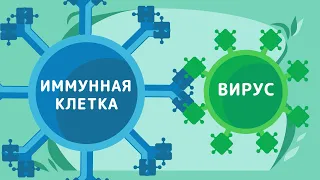 Как работает вакцина?