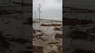 Ураган Глория в Ла пинеде.