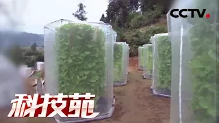 【Agricultural Technology】20171218 | CCTV Agriculture