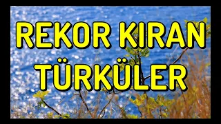Rekor Kıran Türküler / Türk Halk Müzikleri HD - 2021 #türkü #türküdinle