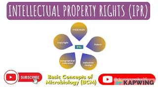 Intellectual property rights and their types! Tangible and intangible property! Patent I GI Tags