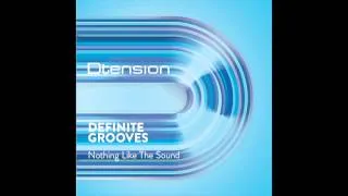 Definite Grooves - Nothing Like The Sound (Original Mix)