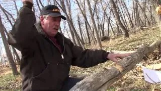 Amazing Knife Cuts Tree in Half and Stays Razor Sharp | SharpensBEST.com How to sharpen a knife