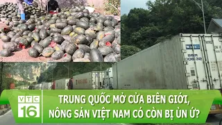 Trung Quốc mở cửa biên giới, bỏ “Zero Covid” , nông sản Việt Nam có còn bị ùn ứ? | VTC16