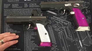 5.  Installing the Reduced Power Trigger Return Spring and reassembly of CZ Shadow 2