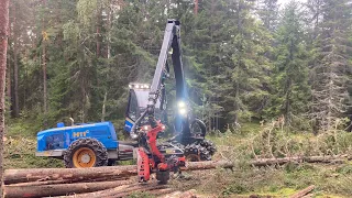 Rottne H11 C harvesting spruce