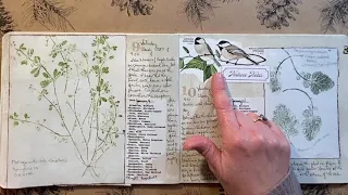 The Naturalist's Notebook Part 2