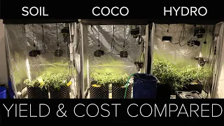 Soil vs Coco vs Hydro yield result & overall comparison