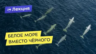 Белое море вместо Чёрного. Отдых в Карелии