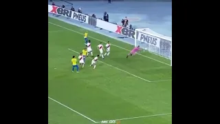 neymar jr skill  (brazill vs peru)