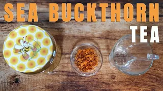 Sea buckthorn tea good tonic indicated in flu moods