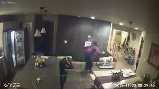 Alaska earthquake caught on home surveillance video