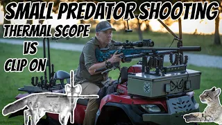 2 Days Hunting & Shooting Foxes, Feral Cats & Pigs || 6BR & 6.5PRC Rifles  || Thermal Optics Testing