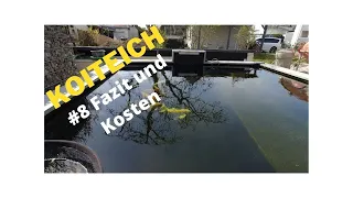 Koiteich #8 Fazit nach 6 Monaten und Kosten