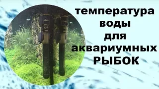 Температура воды для аквариумных рыбок.