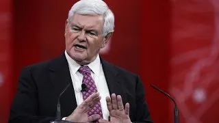 Newt Gingrich Calls For A Deportation Test Of All US Muslims