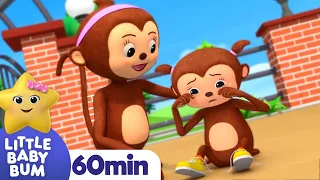 5 Little Monkeys + more | Little Baby Bum  | Kids Show | Toddler Learning Cartoons | Furry Friends