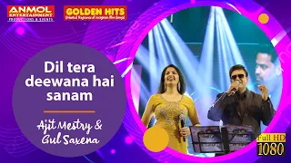 DIL TERA DEEWANA HAI SANAM दिल तेरा दीवाना है सनम  I AJIT MESTRY I GUL SAXENA I GOLDEN HITS