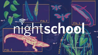 NightSchool: Field Guide to Field Guides