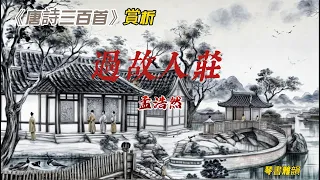 【古詩詞鑒賞】國學 |《唐詩三百首》| 孟浩然 | 《過故人莊》| Appreciation and Analysis of Chinese Poetry