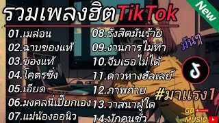 รวมเพลงฮิตในติ๊กต๊อก รวมเพลงในTikTokล่าสุด เพราะๆ 1 ชั่วโมง เพราะๆมันๆ