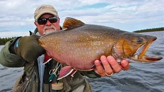 Minipi Giant Brook Trout | Labrador