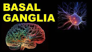 (Chp#10) Basal Ganglia | Basal Nuclei | Snell's NeuroAnatomy | Dr Asif Lectures