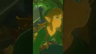 BotW References to Skyward Sword