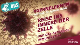 Gebärdefassung: Reise ins Innere der Zelle und das Immunsystem | #gernelernen mit MDR Wissen