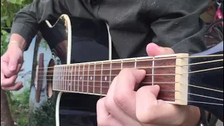 levan polkka Fingerstyle guitar