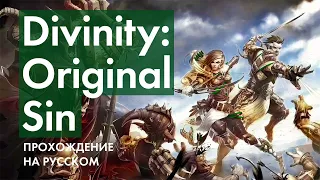 Слуги Пауков ➤ Прохождение Divinity: Original Sin Enhanced Edition