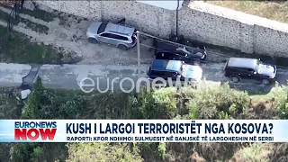 Kush i largoi terroristët nga Kosova?